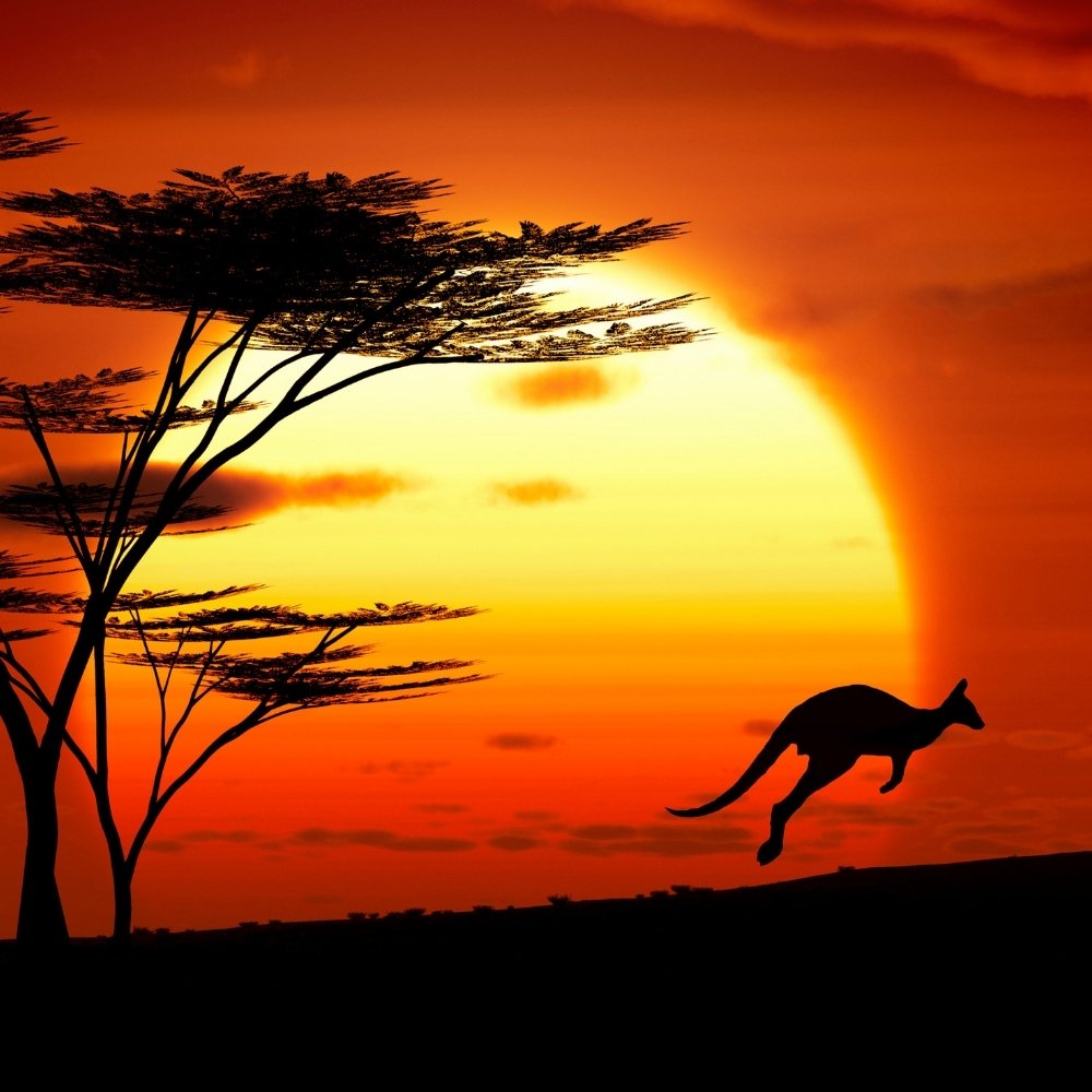 Critters of Australia & Oceania