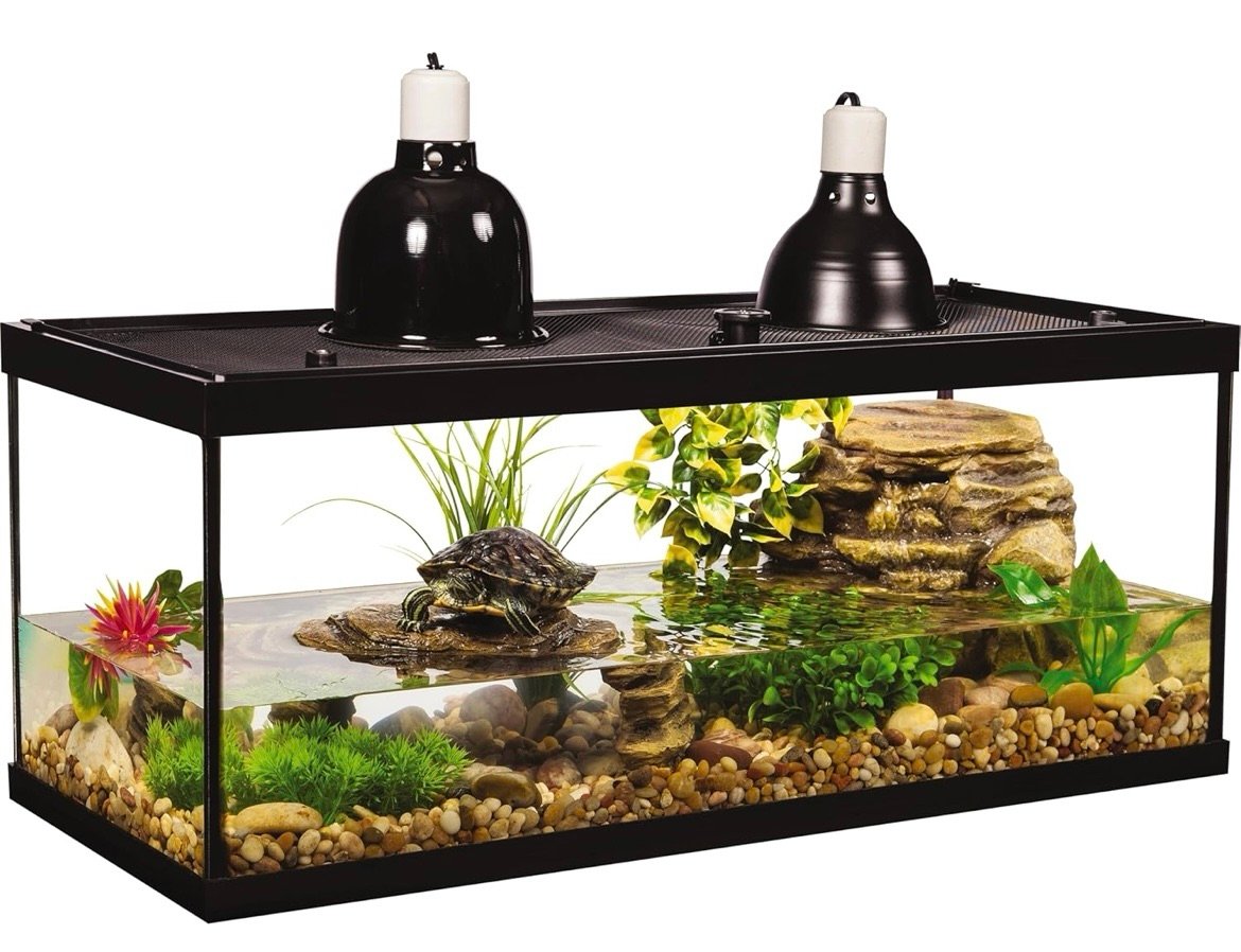 Beginner starter turtle tank