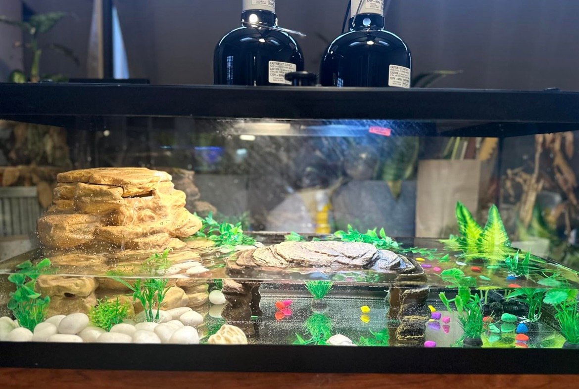 Turtle indoor aquarium kit