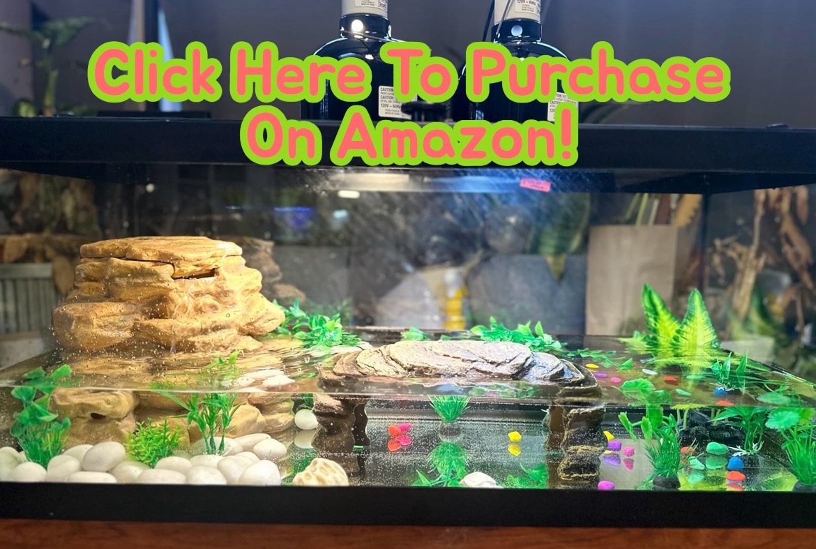 Purchase this turtle tank on Amazon
